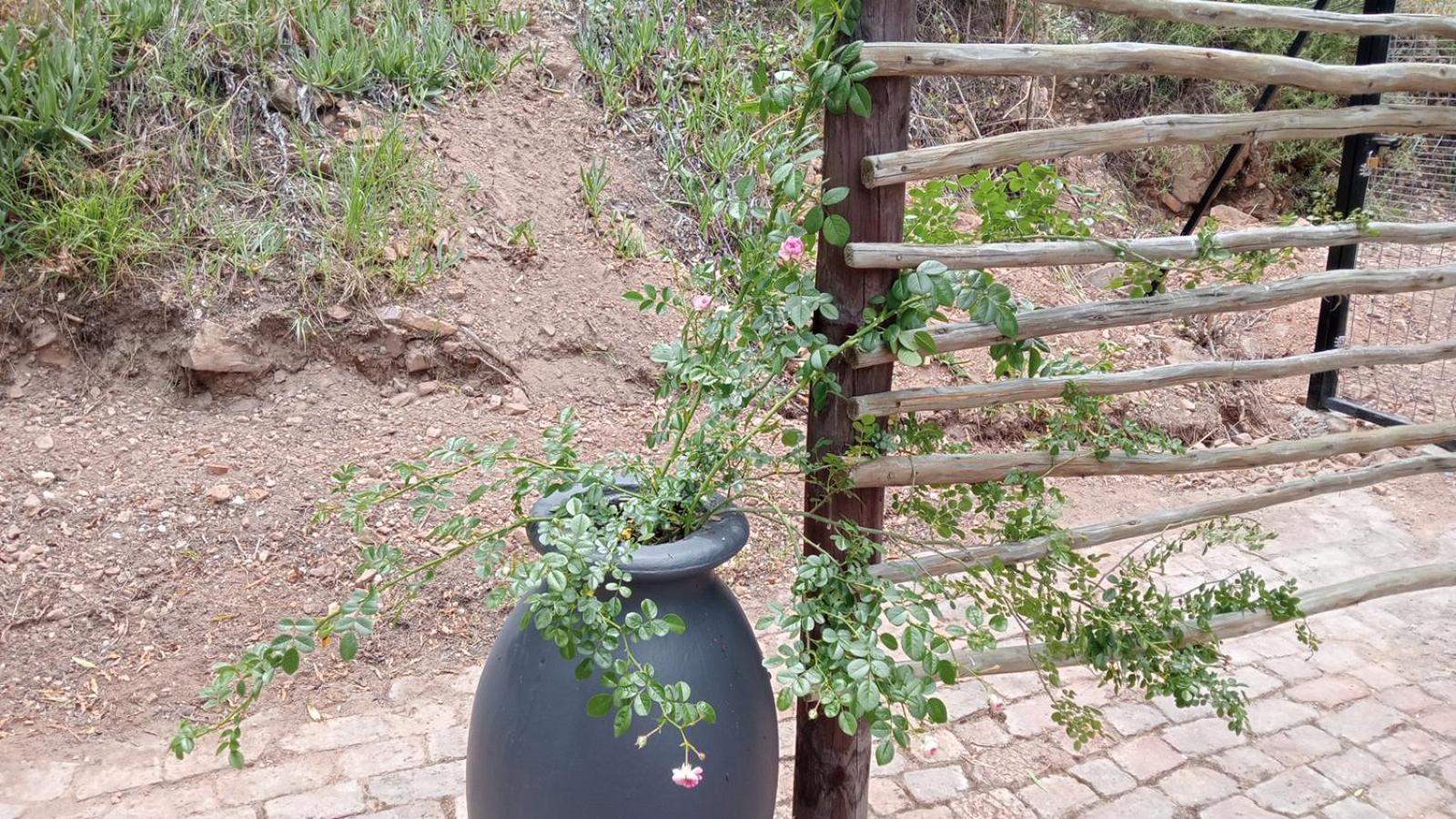 Kranskloof Country Lodge オーツホーン エクステリア 写真