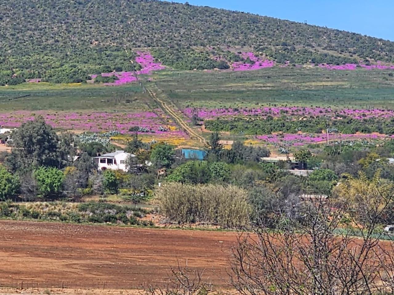 Kranskloof Country Lodge オーツホーン エクステリア 写真